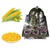 Commercial SS Electric Sweet Corn Making Machine, 5 Kg Capacity